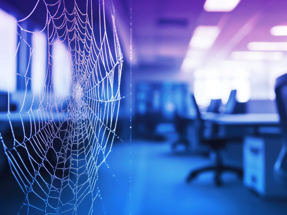 An empty office surrenders to spiderwebs