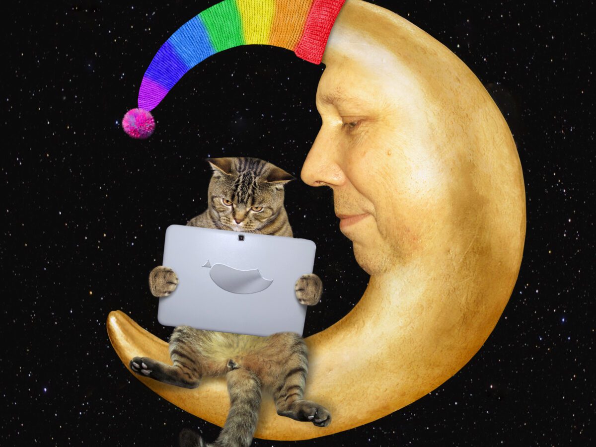 A cat, hybrid working on the mood.